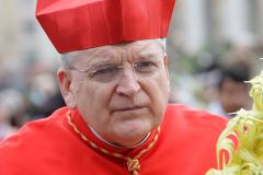 Cardinal Raymond Leo Burke. (Getty Images)